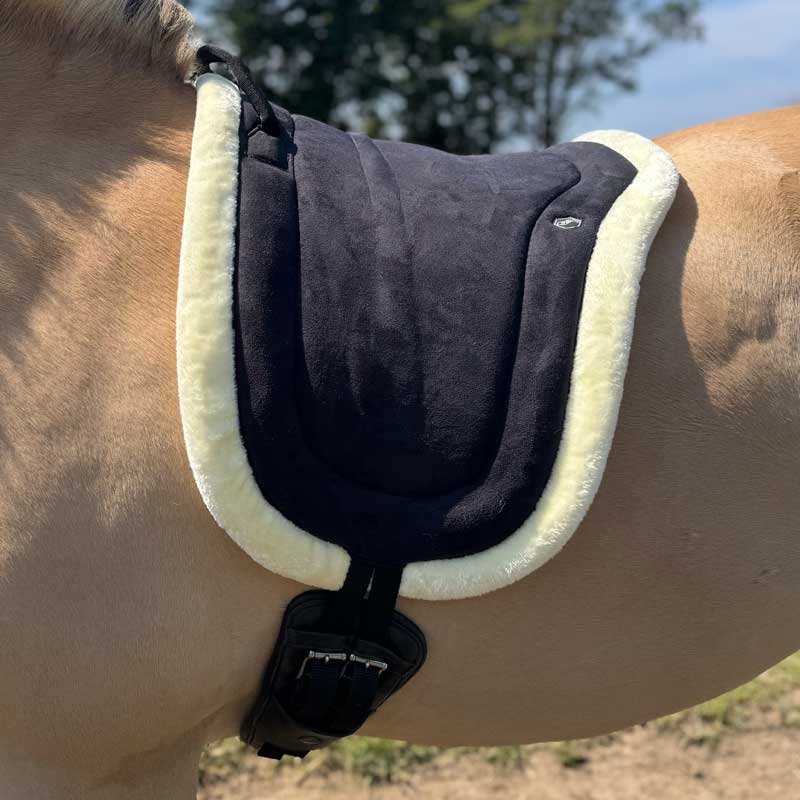 QHP Bareback Pad - sort/natur fra siden på fjordhest