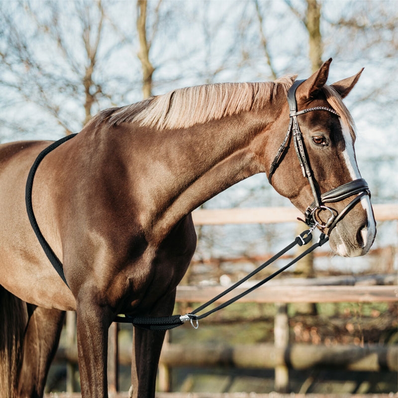 QHP Soft longehjælp - sort