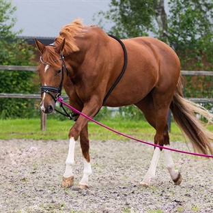 QHP Soft longehjælp - sort