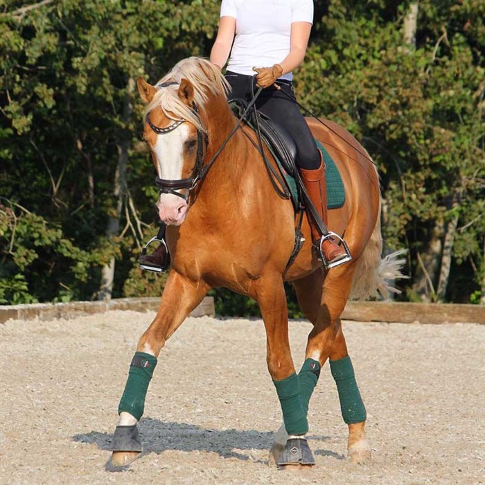 LeMieux Dressage Cotton underlag - racing green