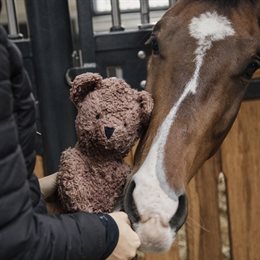 Kentucky Relax Horse Toy Bear legetøj til heste