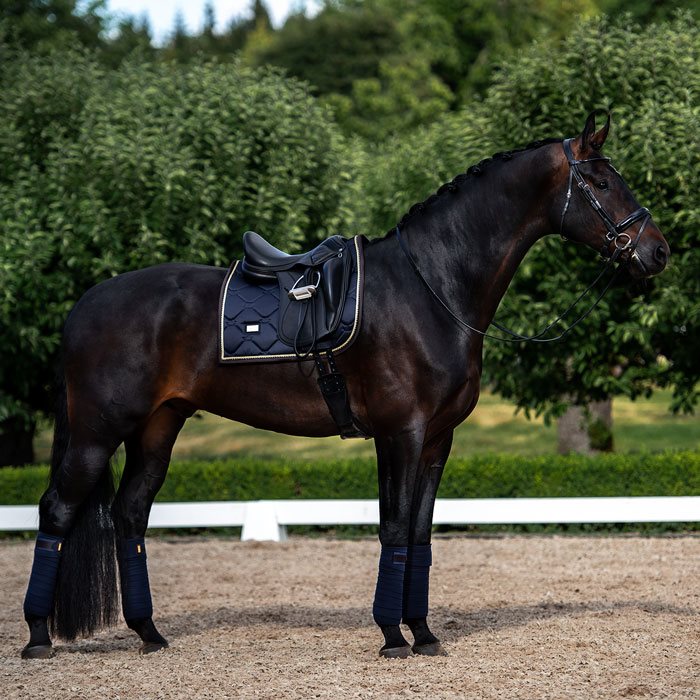 Equestrian Stockholm fleecebandager Royal Classic
