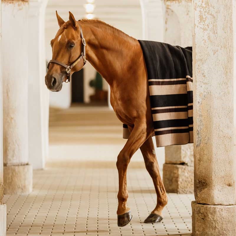 Kentucky Heavy Fleece Rug Square - sort/brun/beige