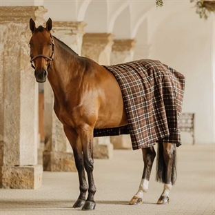 Kentucky Heavy Fleece Rug Square - ternet brun/beige