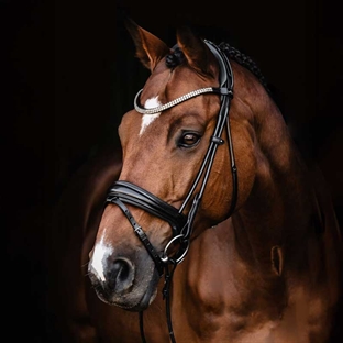 Schockemöhle trense "Satchmo Isabell Werth" - sort