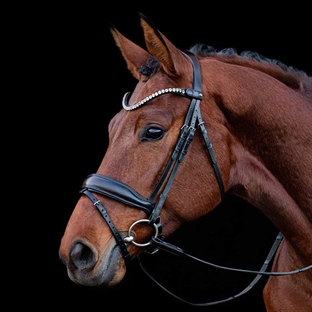 Schockemöhle trense "Siena" - sort