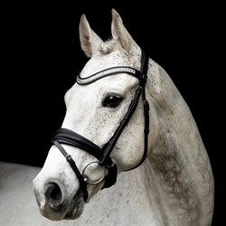 SD Design næsebånd "Signatur" sort/sort R-1062 på hvid hest