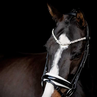 SD Design smukt krystalpandebånd "Romanov" på hest