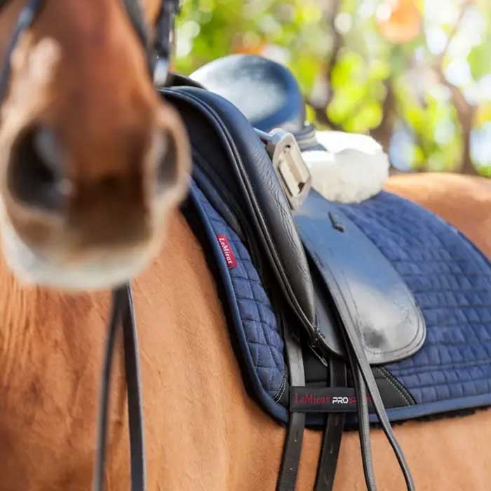 LeMieux Sensitive Skin Dressage underlag - navy