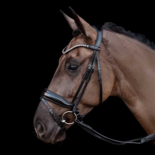 Schockemöhle trense "Siena" - sort m. lak