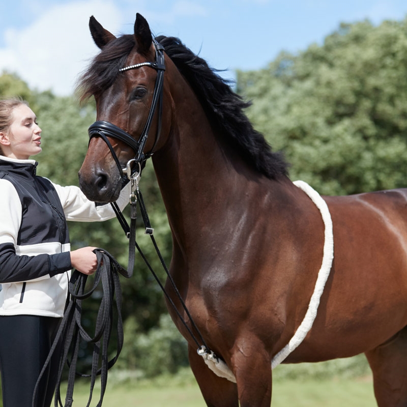 HorseGuard Soft longehjælp - natur