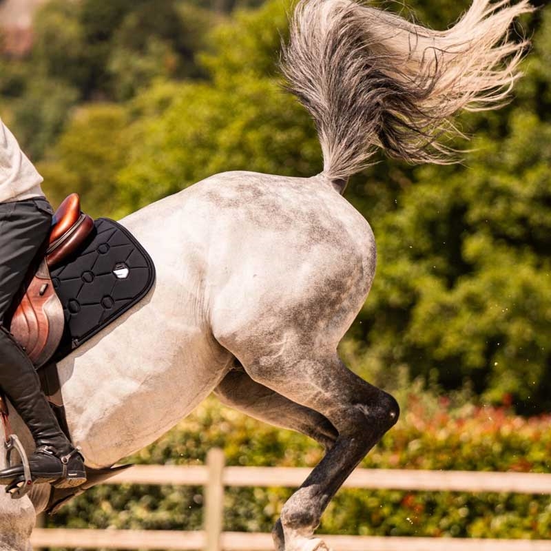 Samshield underlag "Spineshield Embroidery" - sort