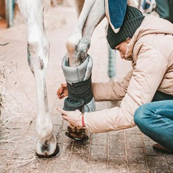 Incrediwear Equine Circulation Standing Wraps - bandageunderlag