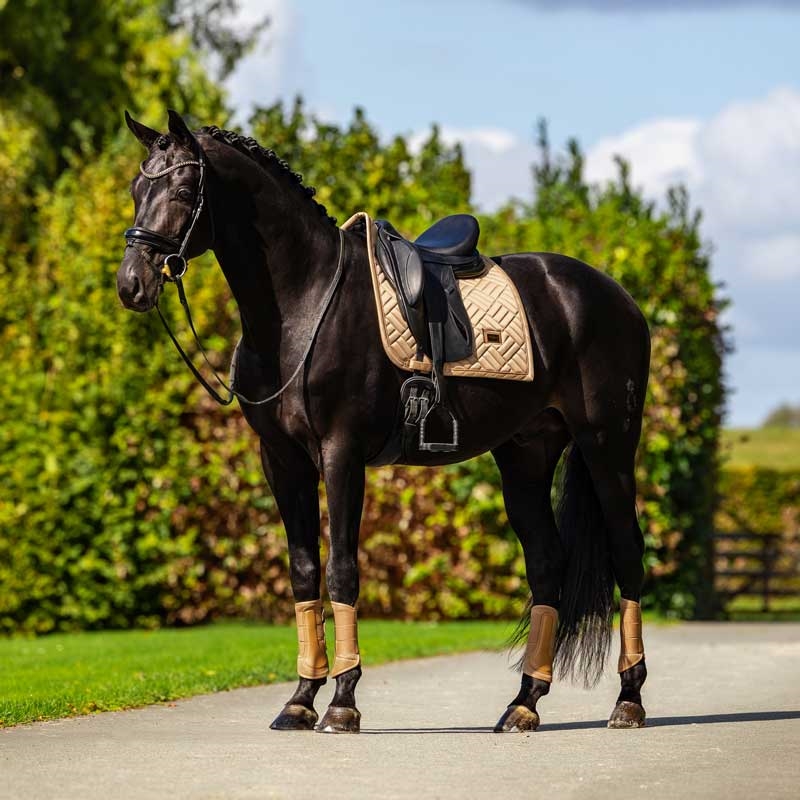 Equestrian Stockholm underlag "Modern Midsummer Glow"