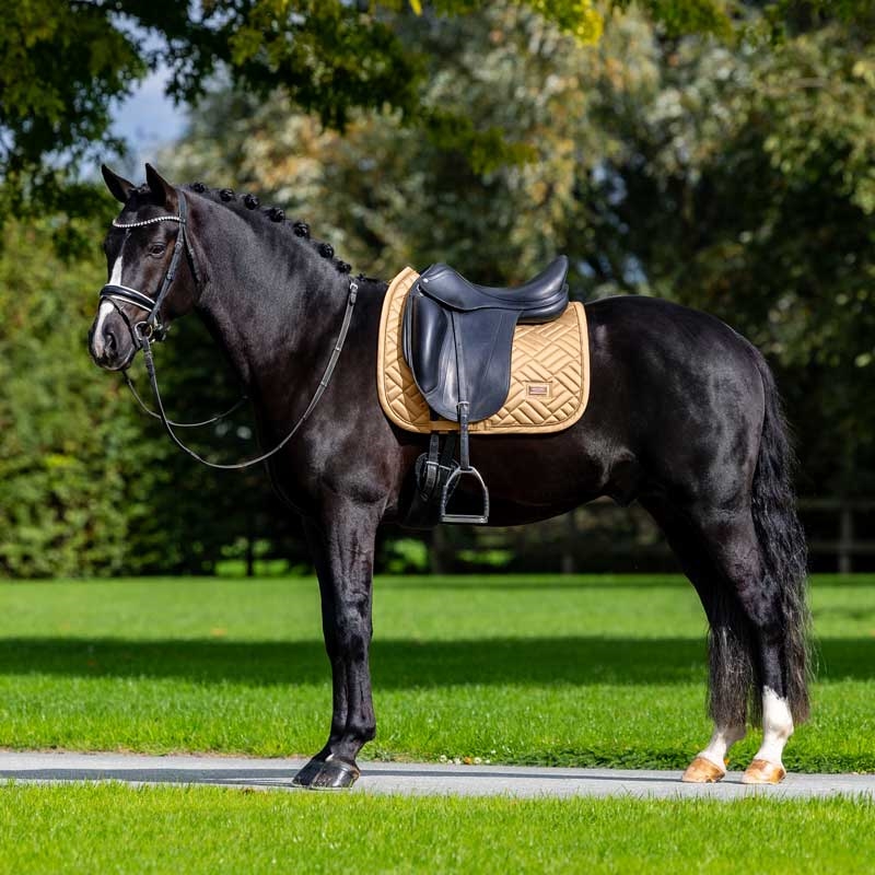 Equestrian Stockholm underlag "Modern Midsummer Glow"