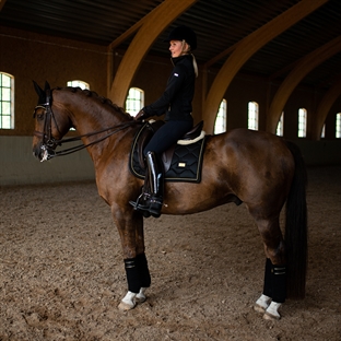 Equestrian Stockholm fleecebandager "Black Edition Gold"