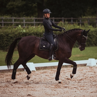 Equestrian Stockholm underlag "Black Edition Gold"