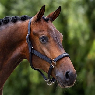 Equestrian Stockholm grime "Line" - sort