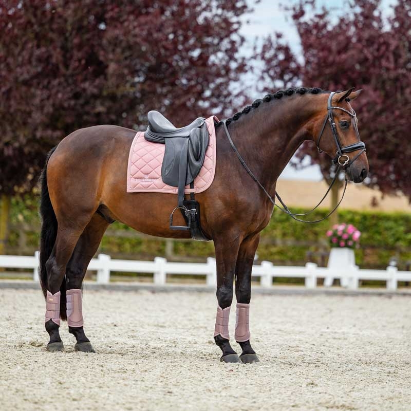 Equestrian Stockholm underlag "Line" - pink 