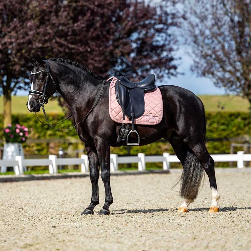 Equestrian Stockholm underlag "Line" - pink 