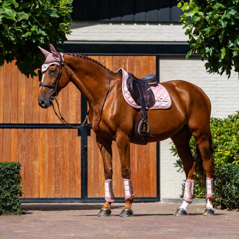 Equestrian Stockholm underlag "Line" - pink 