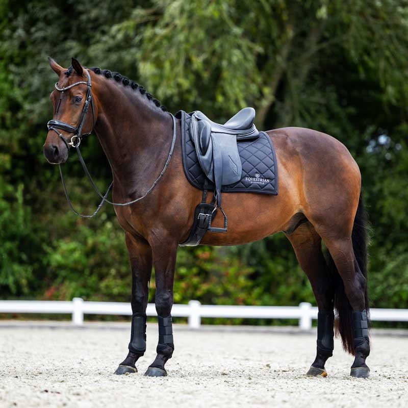 Equestrian Stockholm underlag "Line" - sort