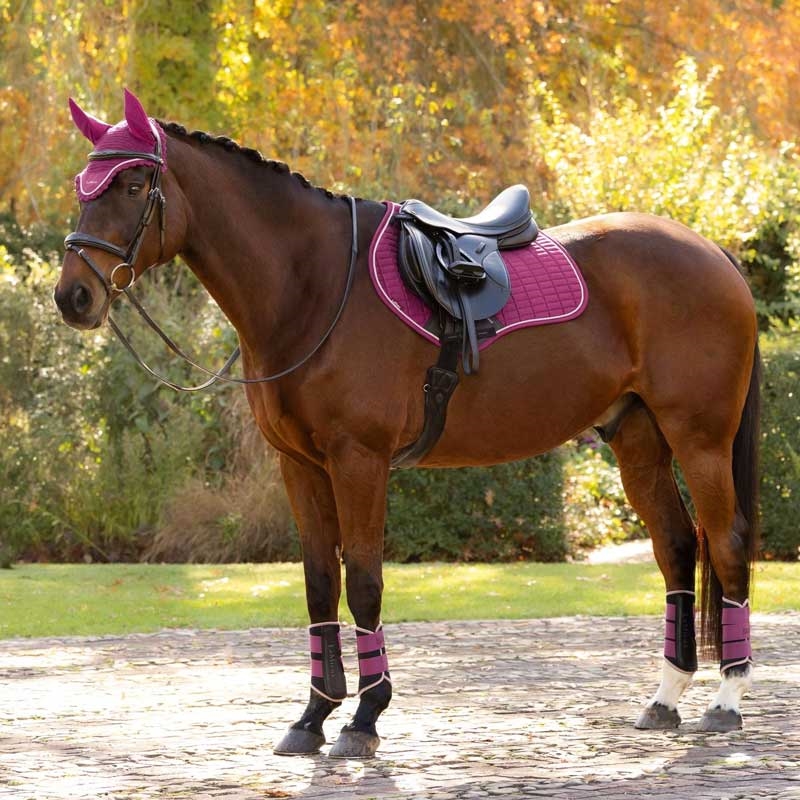 LeMieux Jumping Suede underlag - Blackberry