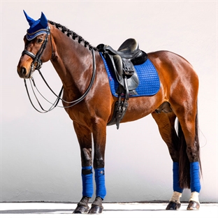 LeMieux Dressage Suede underlag - benetton blue