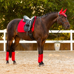 LeMieux Dressage Suede underlag - chilli red