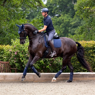 LeMieux Dressage Suede underlag - navy