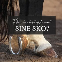Taber din hest også nemt skoene?