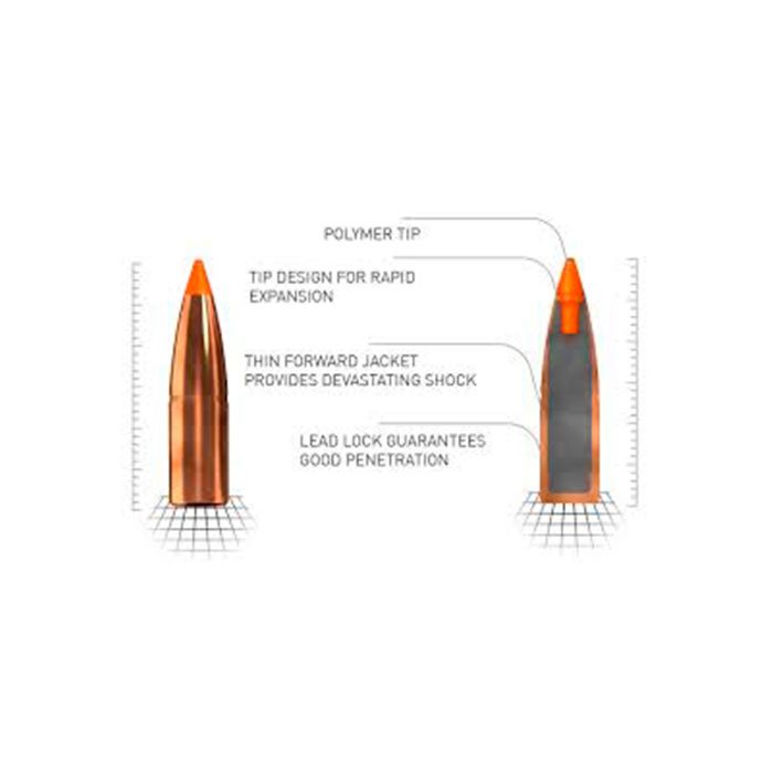 Norma Tipstrike kal. 308 win 11 g