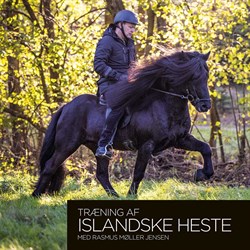 Træning af Islandske Heste - Med Rasmus Møller Jensen