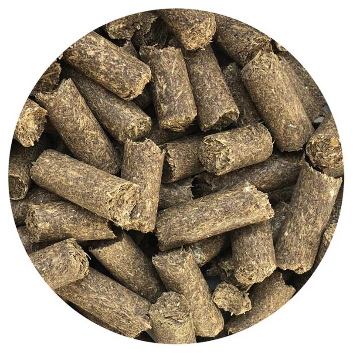 Nordic Horse Twinkle Treats 1kg.