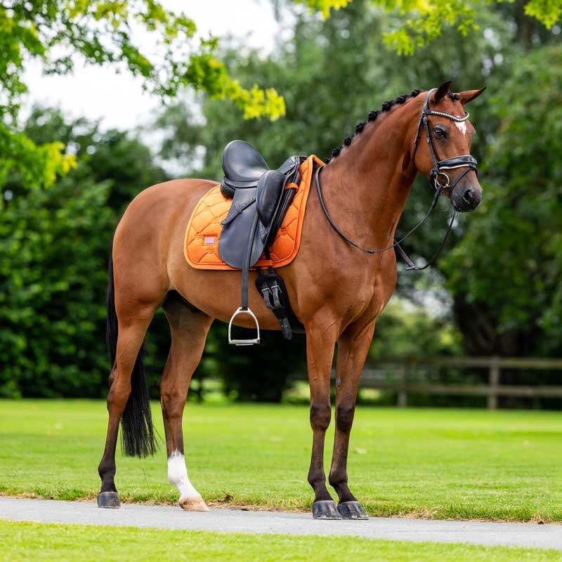Equestrian Stockholm underlag "Velvet" - Chestnut