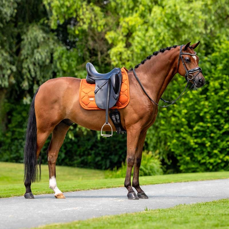Equestrian Stockholm underlag "Velvet" - Chestnut