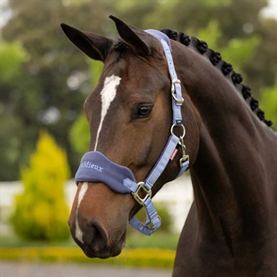 LeMieux grime "Vogue" m. træktov - Powder Blue
