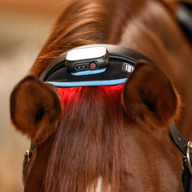 Waldhausen LED flexpad "Health + Care Infared" - sort