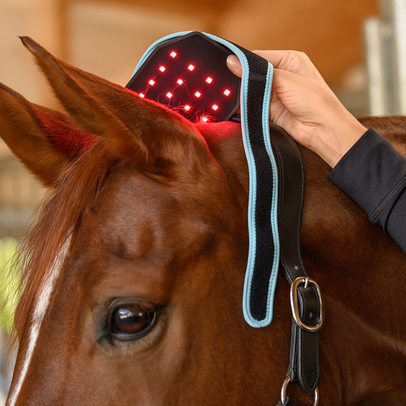 Waldhausen LED flexpad "Health + Care Infared" - sort