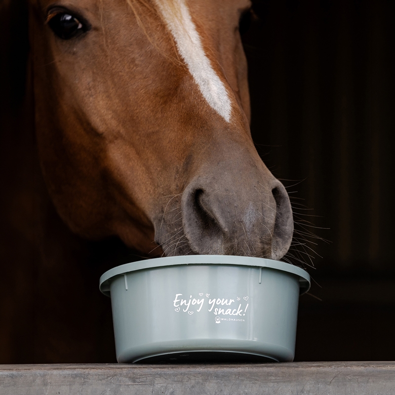 Foderspand med låg, 2 liter - green
