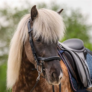Waldhausen anatomisk islandsk trense - sort