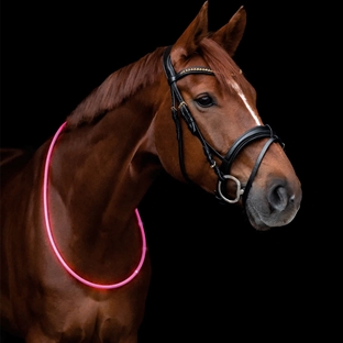 Waldhausen LED halsring i pink på hest