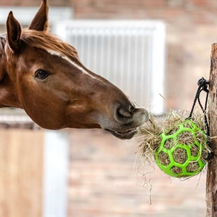 Waldhausen høbold i gummi - grøn hest spiser