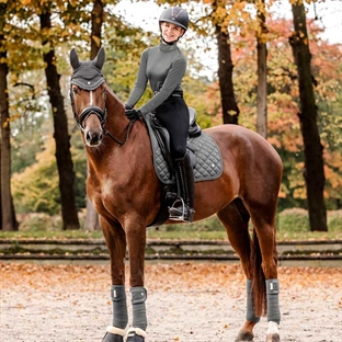 Fleecebandager fra Waldhausen i grå "Pewter" set på hest 