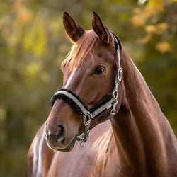 Waldhausen pegasus grime beige med plysforing på hest