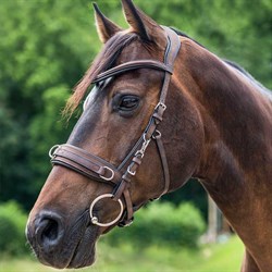 Waldhausen Ridekapsun "Cavesson" - Brun på hest