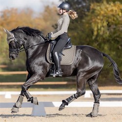 Waldhausen underlag med plyskant sort på hest der rider